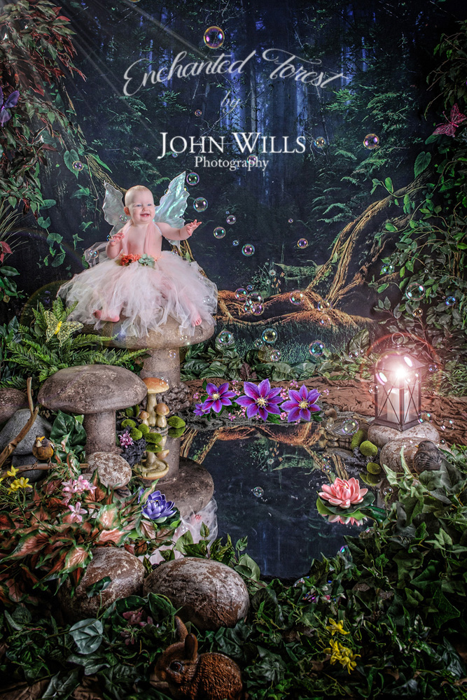 Enchanted Forest Fairy Sessions