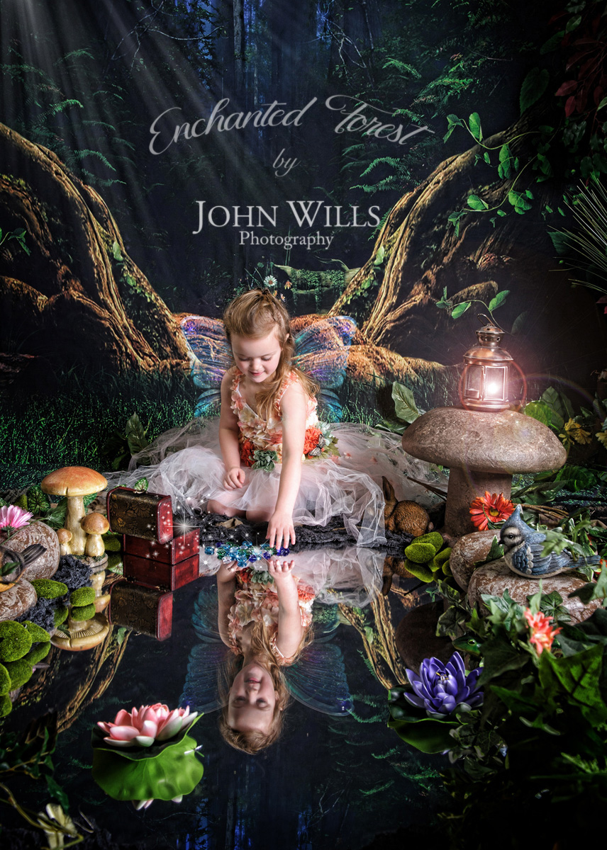 Enchanted Forest Photographers